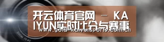 公司动态