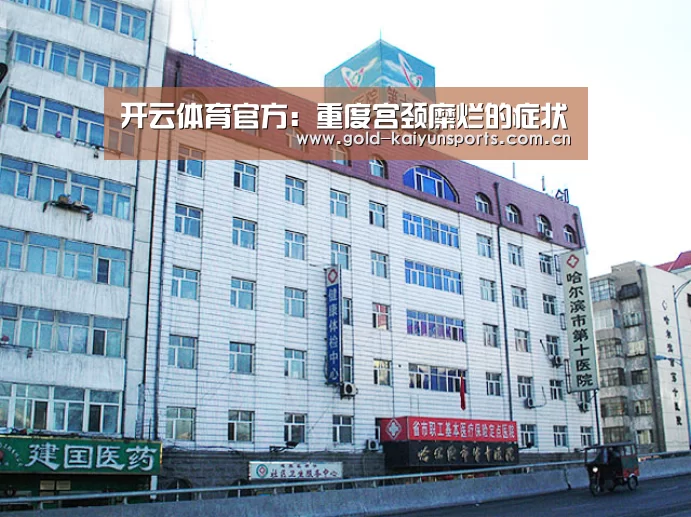 开云登录