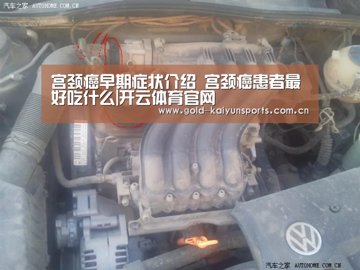 开云登录
