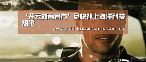开云登录