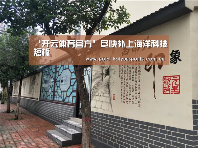 开云体育官网