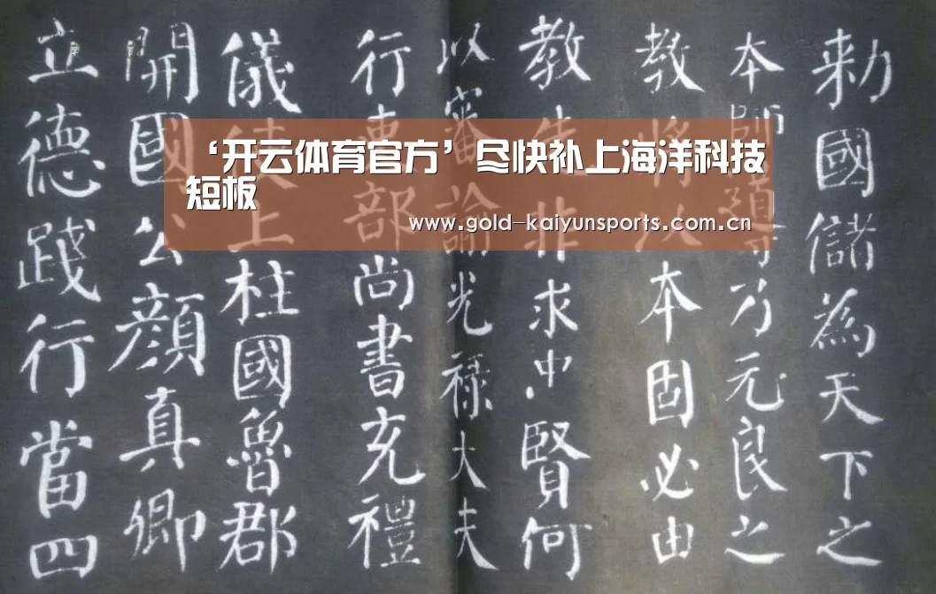 开云体育数据中心