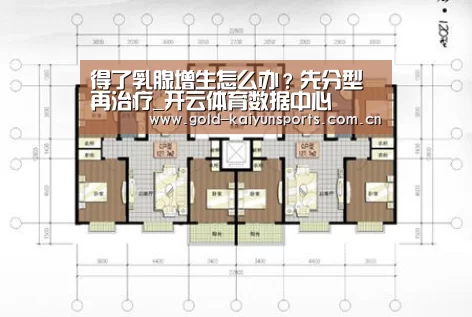 开云体育官方