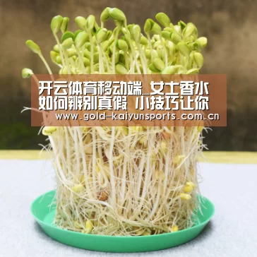 开云登录